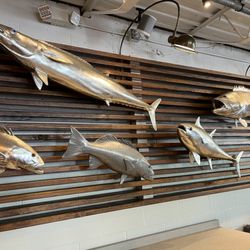Soul Fish Cafe - Fun decor