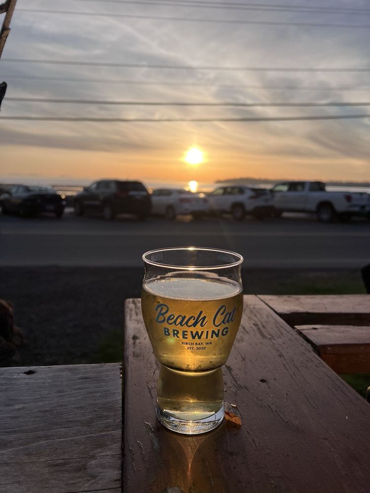 Beach Cat Brewing