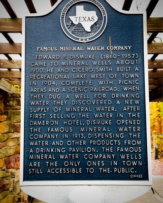 Crazy Water Company by null