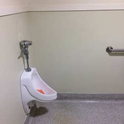 Has a urinal as well. Great for keeping the toilet seat clean.