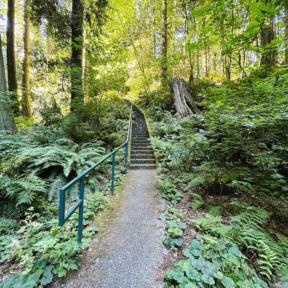 Forest Park - Parks Near Me - Everett, Washington Forest Park - Parks Near Me - Everett, Washington