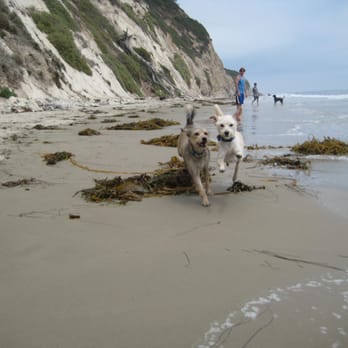 Arroyo Burro Beach - They're so happy! - Beaches Near Me - Santa Barbara, California