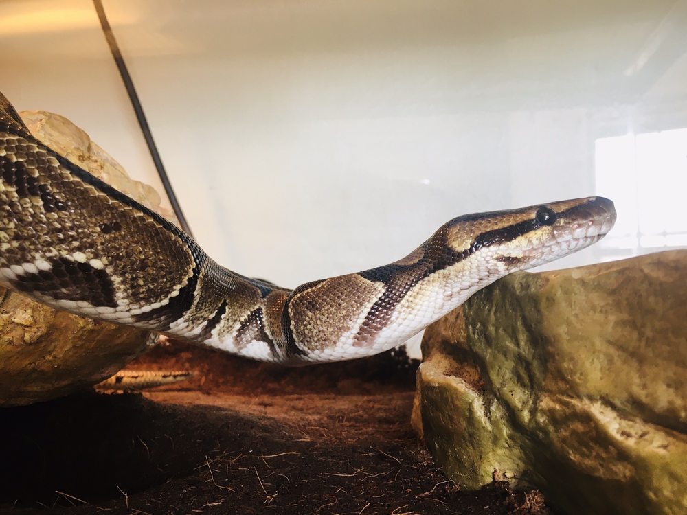 A’S AQUATICS AND PET STORE with 22 real customer photos Updated