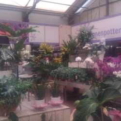 Intratuin Leidsche Rijn - House plants.