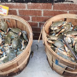 Fish Market