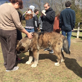 Howling Woods Farm - Animal Shelters Near Me - Jackson, New Jersey