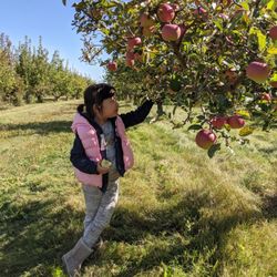 Applevale Orchards