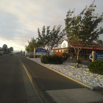 Lost Roo - Just as you are coming into town. Long Beach, WA. - American Near Me - Long Beach, Washington