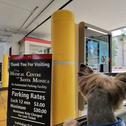 California Pain Medicine Center - 08-06-2026