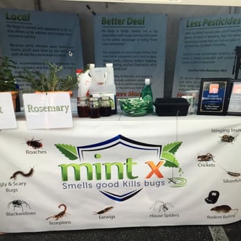 No Bugs - At home show - Pest Control Near Me - Valencia, California