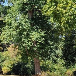 Park an der Ilm