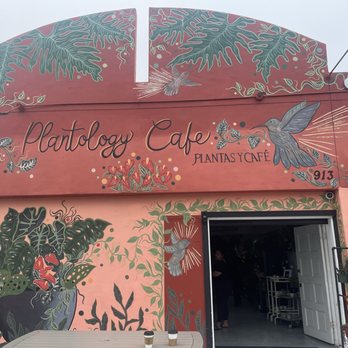 Plantology Café - Coffee & Tea Near Me - Oceanside, California
