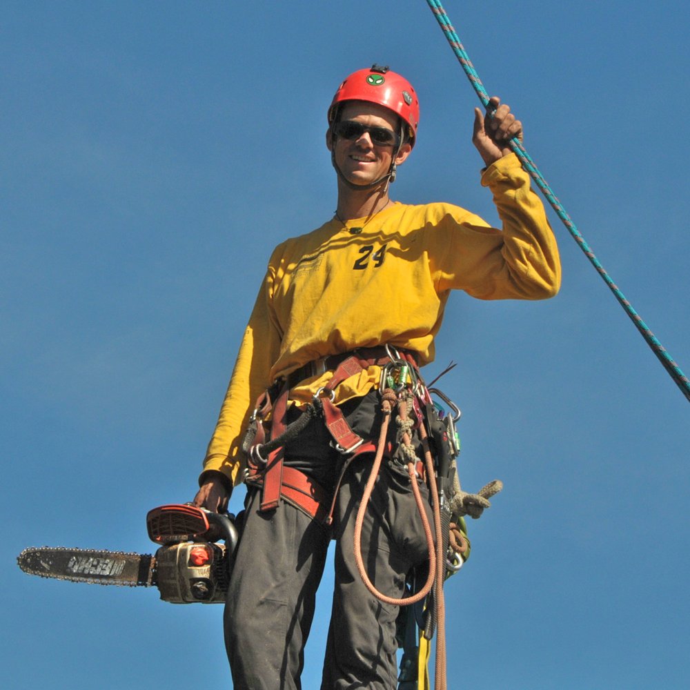 Nimble Tree Care - Tree Services Near Me - Carpinteria, California