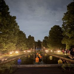 Missouri Botanical Garden - Lillypad pond at a nighttime event - July 2025