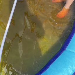 This was the water the entire weekend This was the water the entire weekend