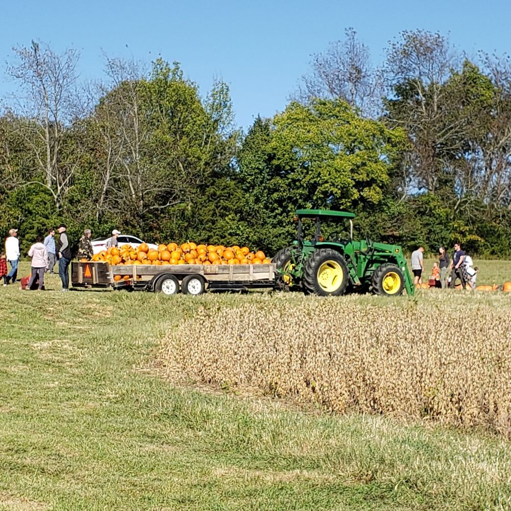 Boyd's Pumpkin Patch - Pumpkin Patches Near Me - Clarksville, Tennessee