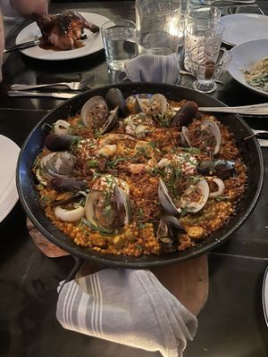 Bar Volpe by null Bar Volpe by null