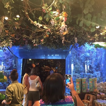 Rainforest Cafe - Entrance - American Near Me - Atlantic City, New Jersey Rainforest Cafe - Entrance - American Near Me - Atlantic City, New Jersey