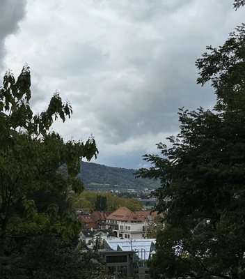 Botanical Garden by null