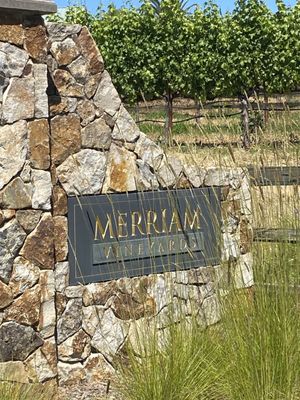 Merriam Vineyards by null