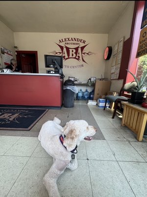 Alexander Brothers Automotive