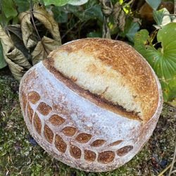 Ouest Artisan Patisserie
