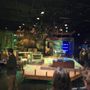 Photo of Amphibian Stage