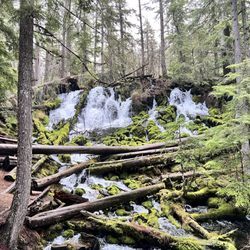 Clearwater Falls - Clearwater Falls