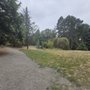 Photo of David Rodgers Park