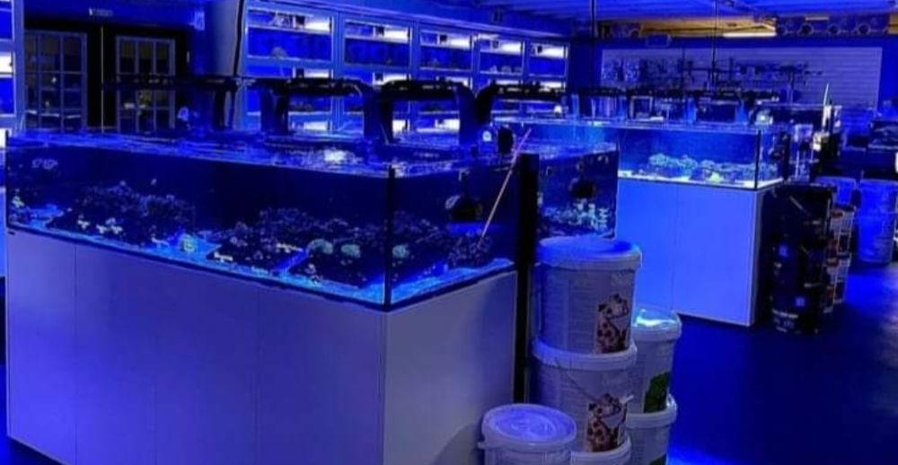 REEF GURUS Updated August 2024 545 Rutherford Rd, Greenville, South