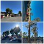 Photo of Moon’s Tree Services