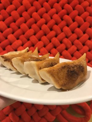 The Flying Dumpling by null