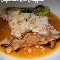 Matsukasa Yuki Japanese Red Snapper