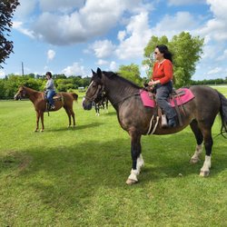 Tower Hill Stables - Miss Daisy in the front