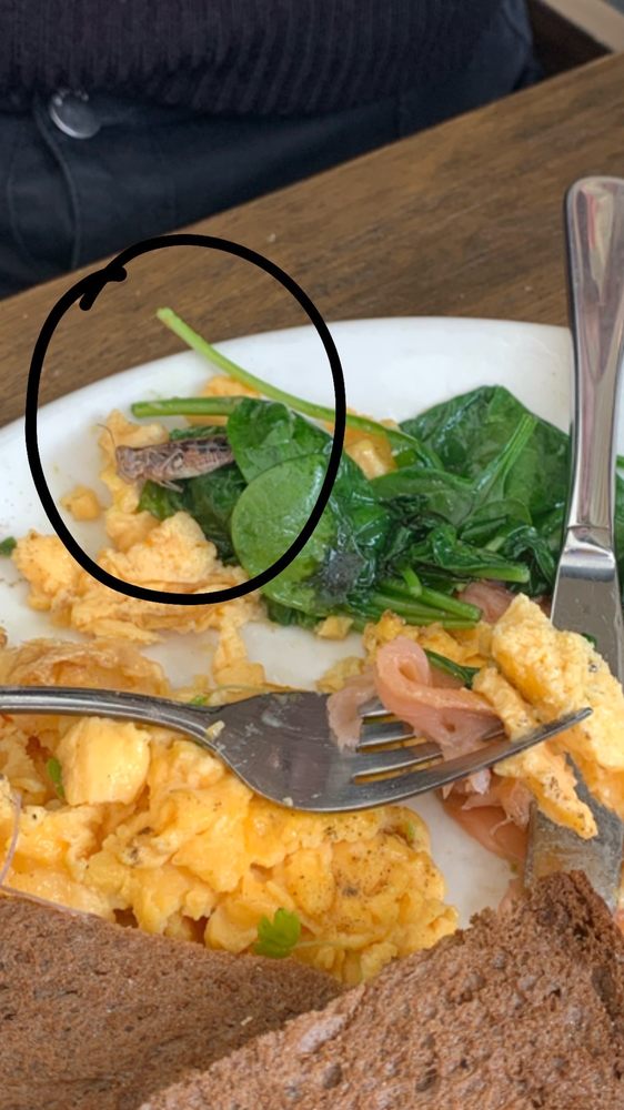 THE COFFEE EMPORIUM BANKSTOWN 59 North Tce, Bankstown New South Wales