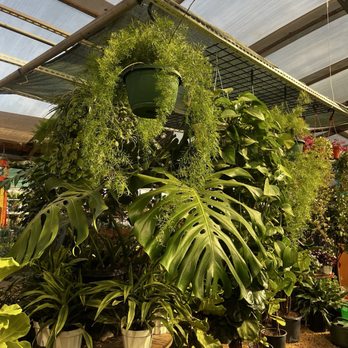 Jericho Nursery - Nurseries & Gardening Near Me - Albuquerque, New Mexico