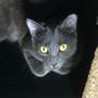 Photo of Safe Haven Veterinary Hospital