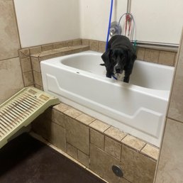 First self wash at pet palace