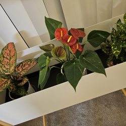 Armstrong Garden Centers