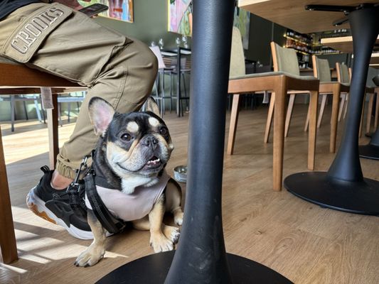 Frenchie Wine Bar by null