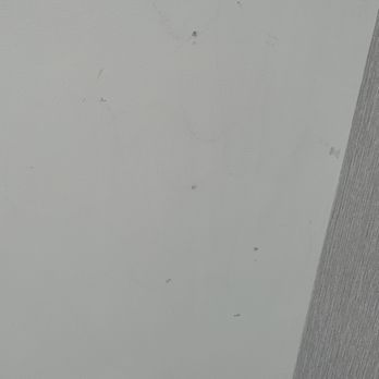Radisson Blu Aqua Chicago - Dead bugs - Hotels Near Me - Chicago, Illinois Radisson Blu Aqua Chicago - Dead bugs - Hotels Near Me - Chicago, Illinois