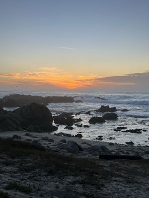 Asilomar State Beach by null