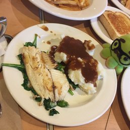 Senior 's Tilapia Florentine