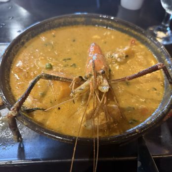 Bravo Peruvian Kitchen - Chubo CAUSA DE CAMARONES - Peruvian Near Me - Coral Springs, Florida