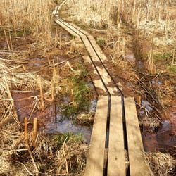Ohio & Erie Canal Reservation - A walkway along a marshy area
