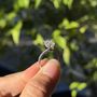 Photo of Pleasantry Jewelers