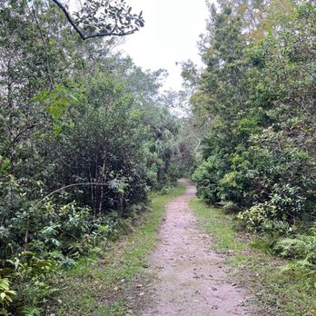 Fern Forest Nature Center - Parks Near Me - Coconut Creek, Florida
