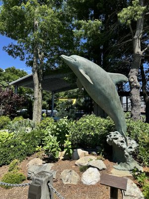 Mystic Aquarium by null