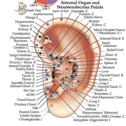 Chen Natural Medicine and Accupunture Clinic