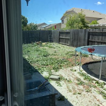 TreeMax Tree Service - Tree Services Near Me - Citrus Heights, California TreeMax Tree Service - Tree Services Near Me - Citrus Heights, California